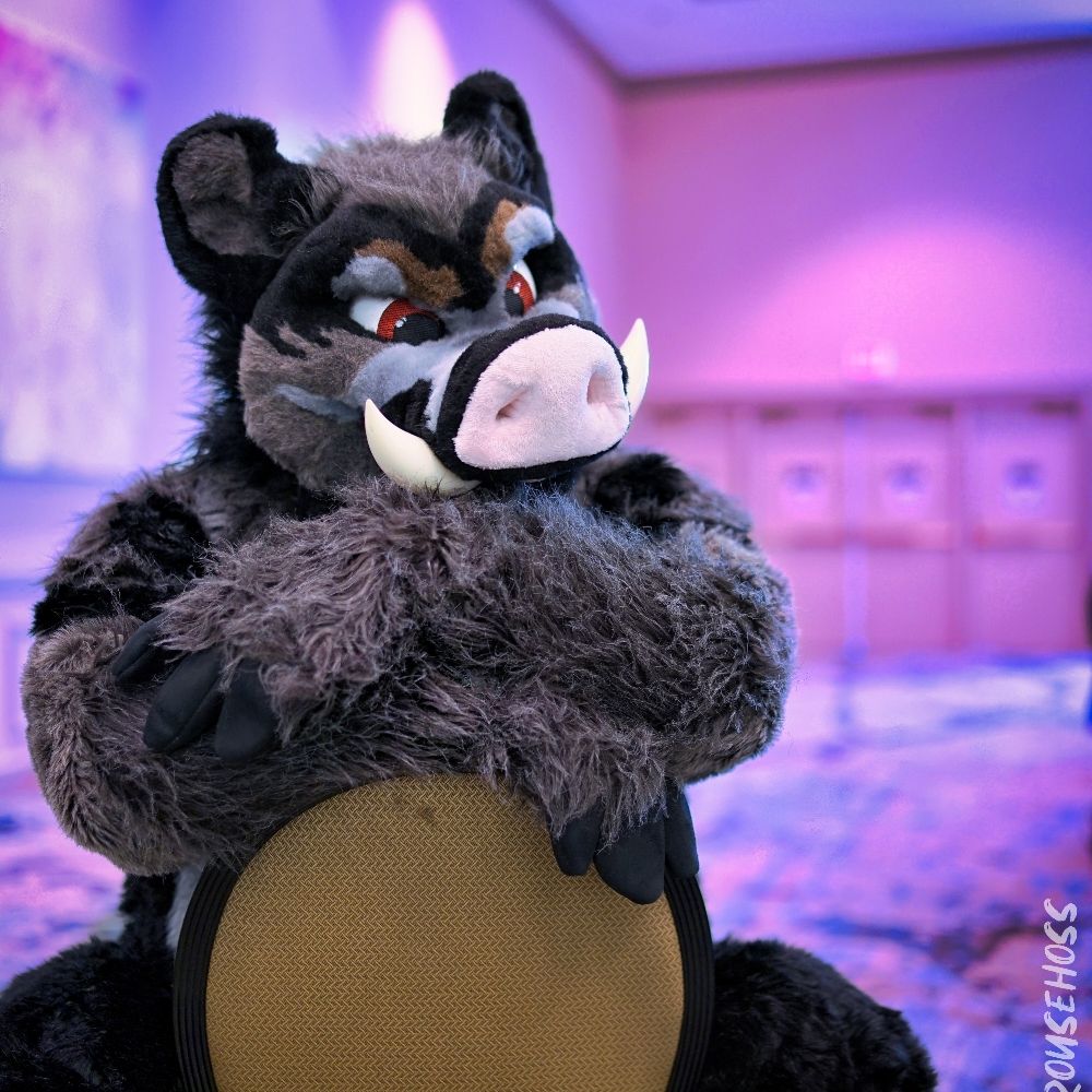 Bubtheboar