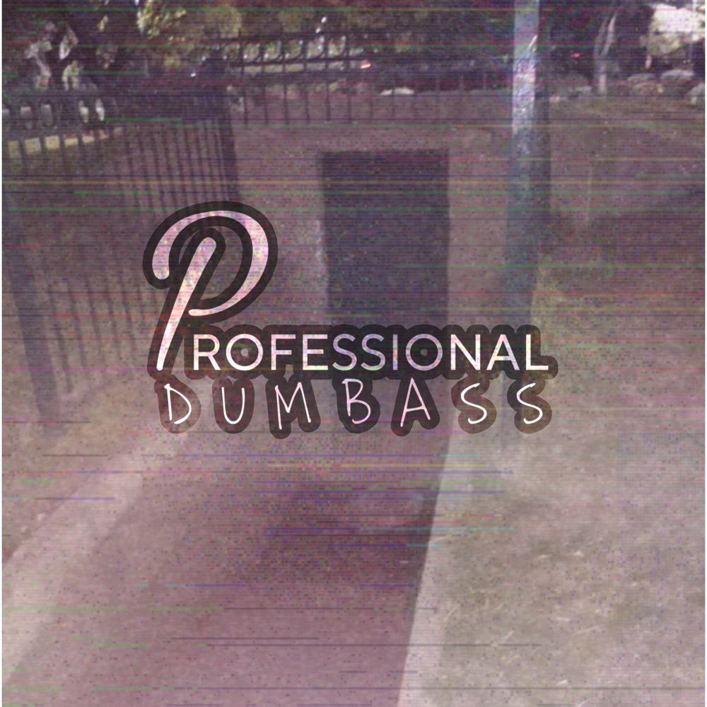 Professional Dumbass
