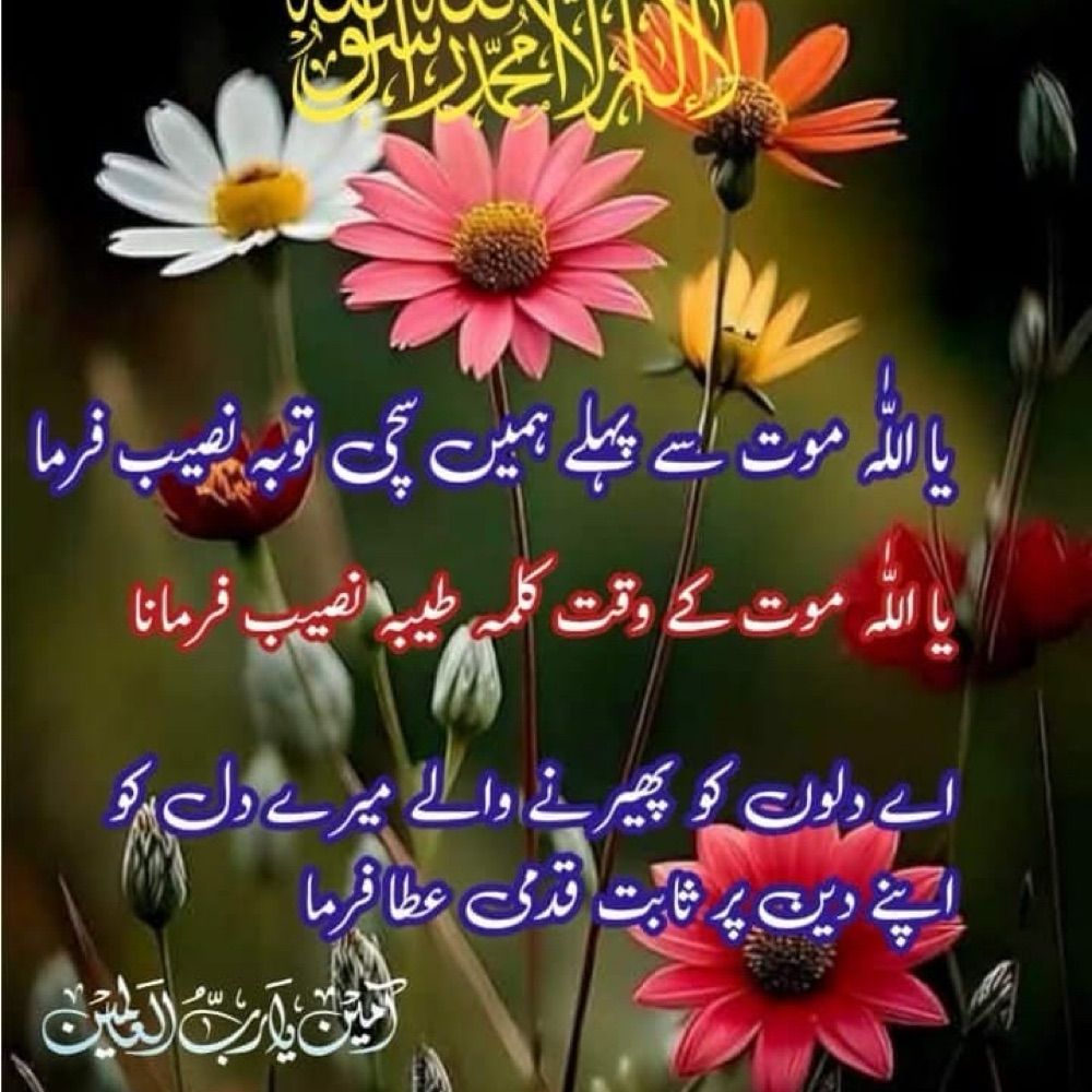 A Rafay Ansari