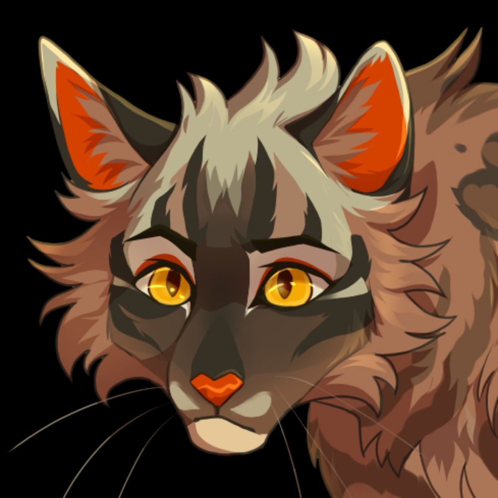 StrayRobin