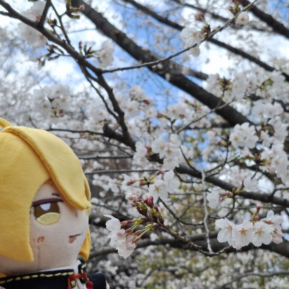 みみせん⚜️誤差