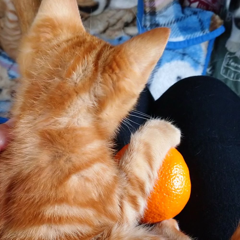 radioyone.bsky.social