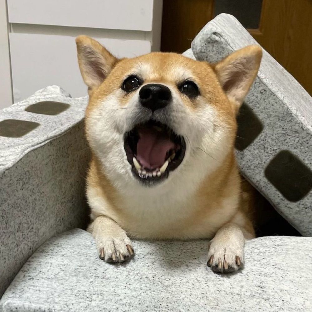 cheng