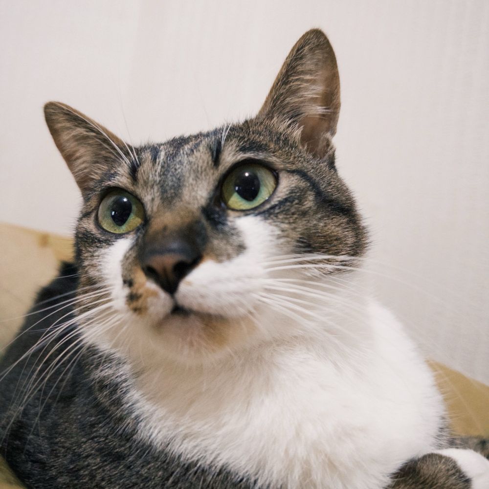 相坂ゆうと