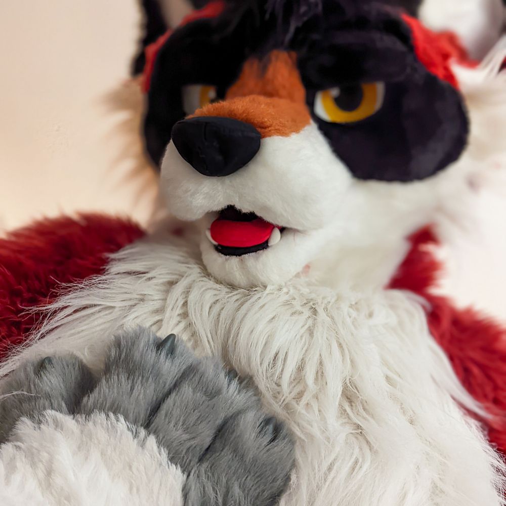 🦝🐺🔥