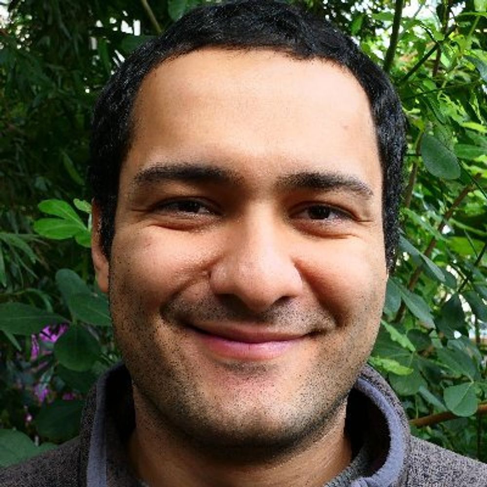 Ehsan Moqanaki
