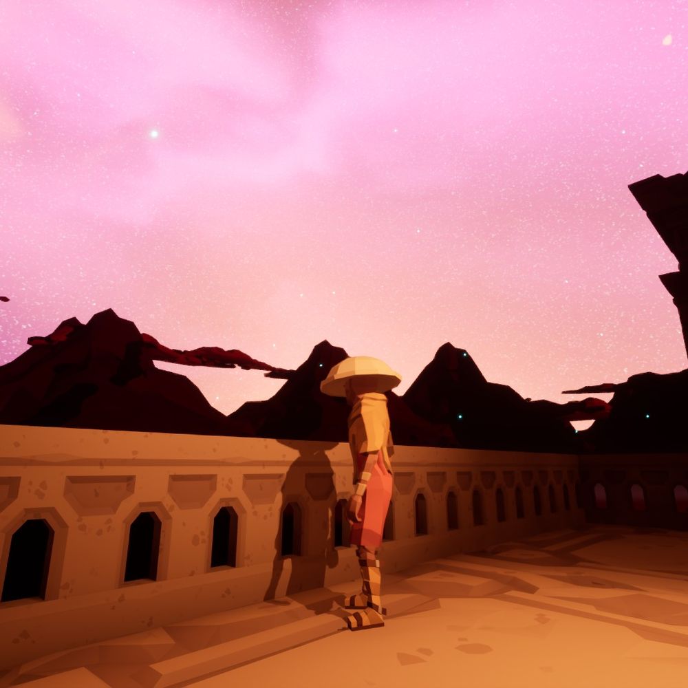 Desert Bird The Game