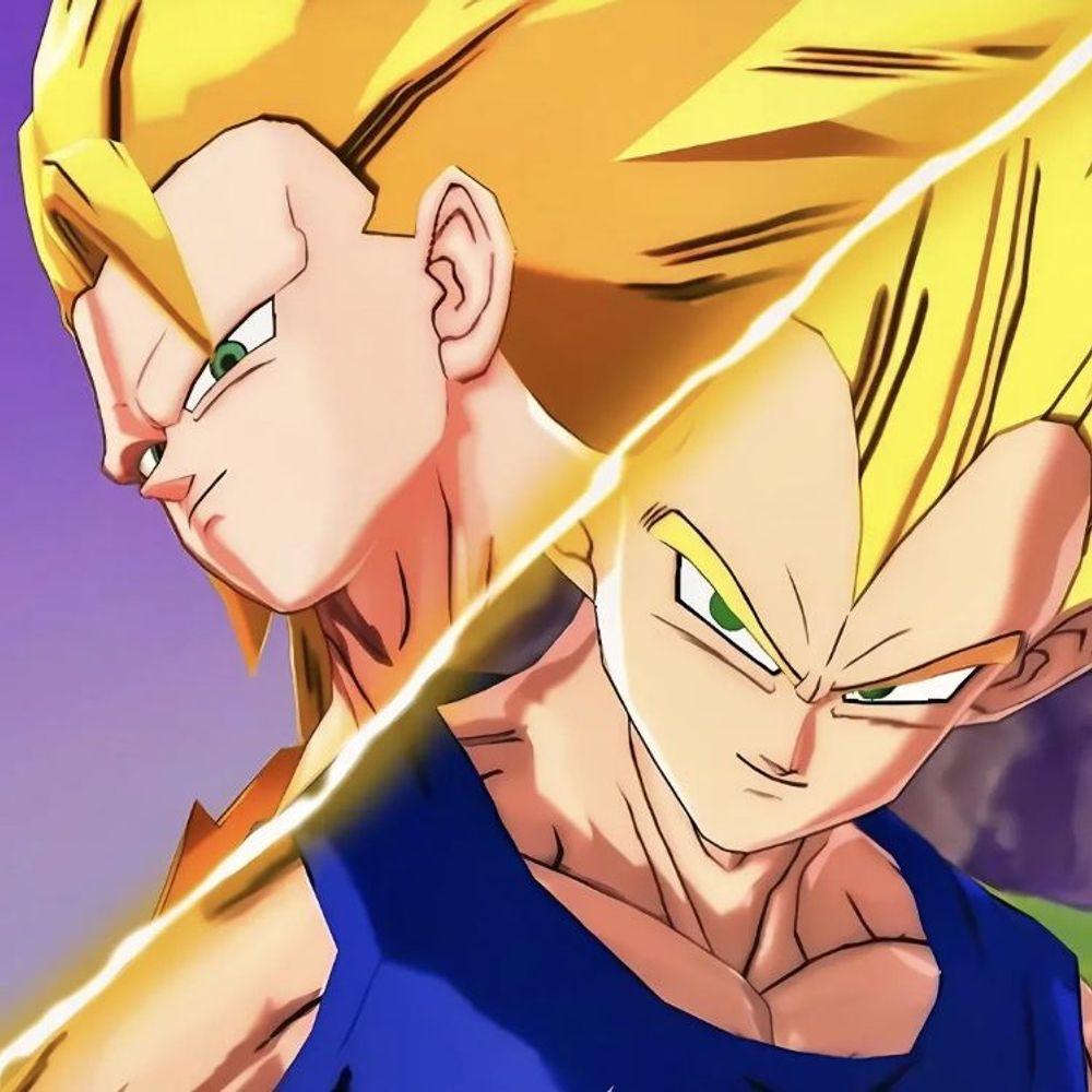 Son Goku and Vegeta