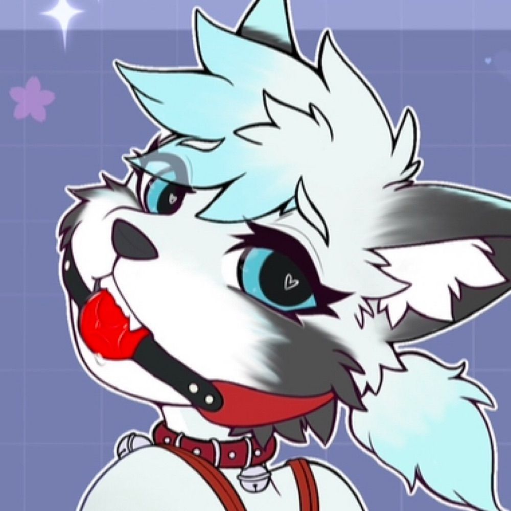 Dumb Puppy