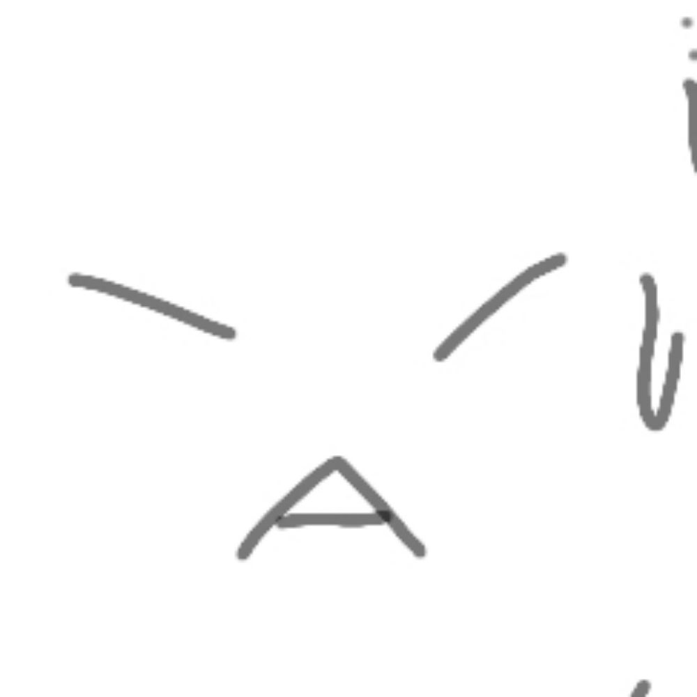缶詰