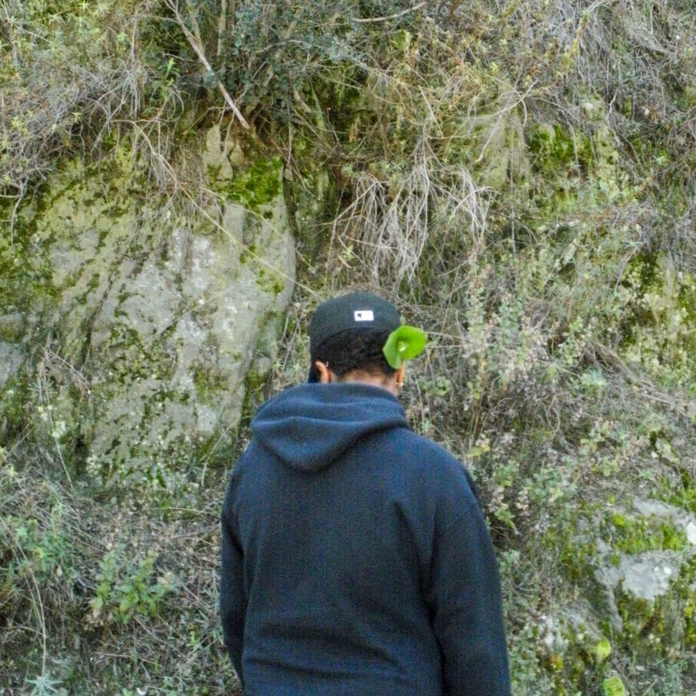 Director Z
