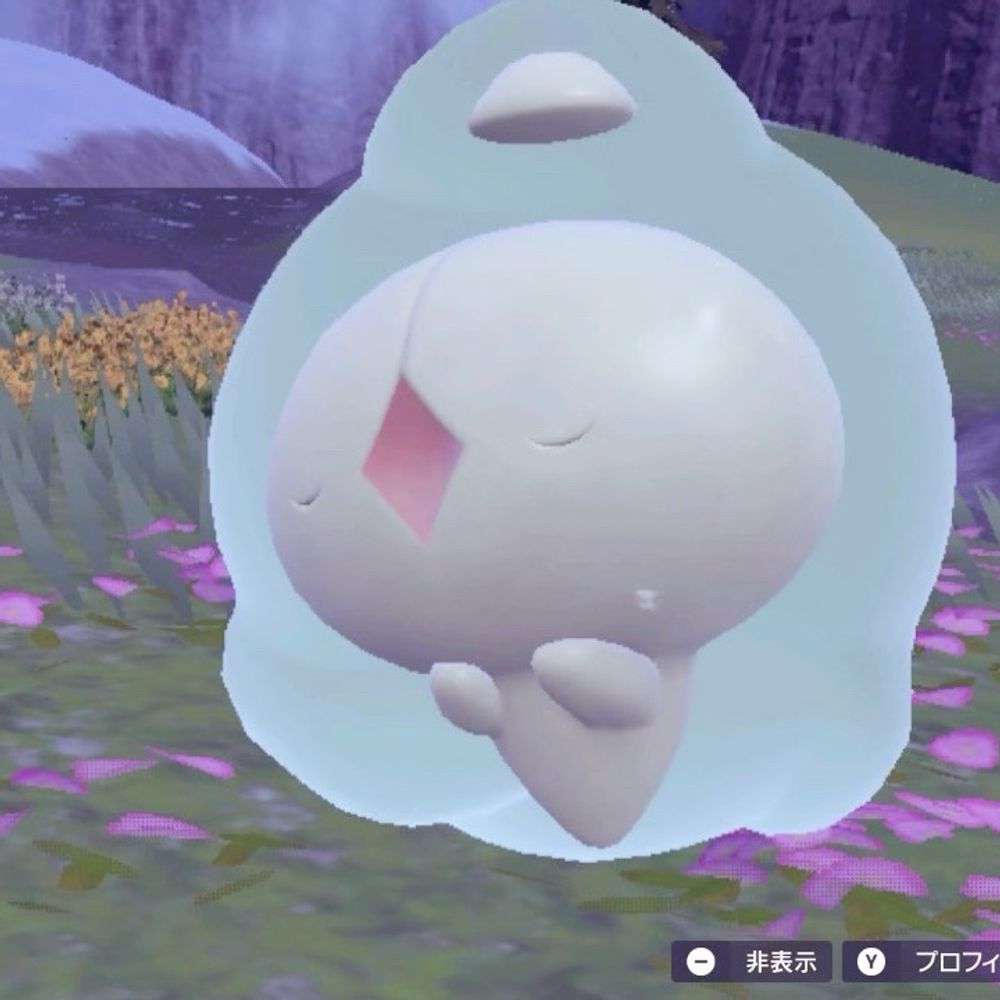 る🧸🫧