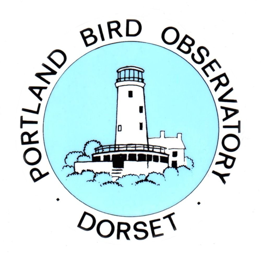 Portland Bird Observatory's avatar