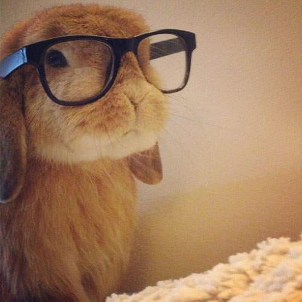 DarthBunny