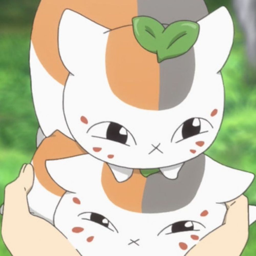 Wlow✨️