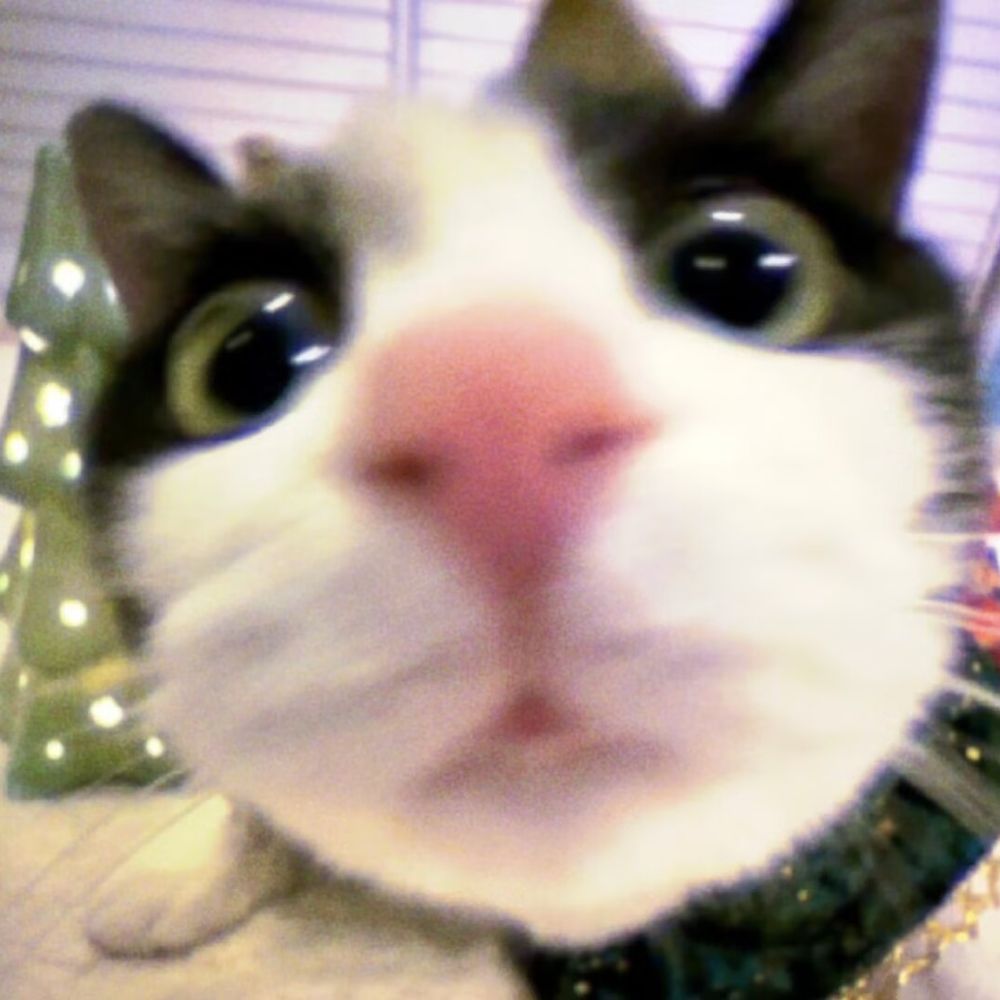 bananasheep.bsky.social