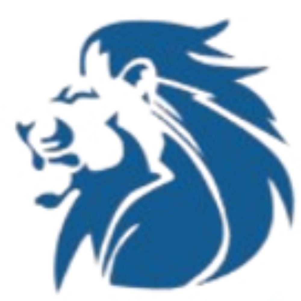 WakingLions