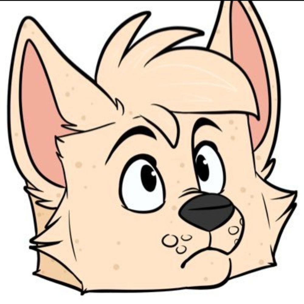 tofuWolf photographer @TFF