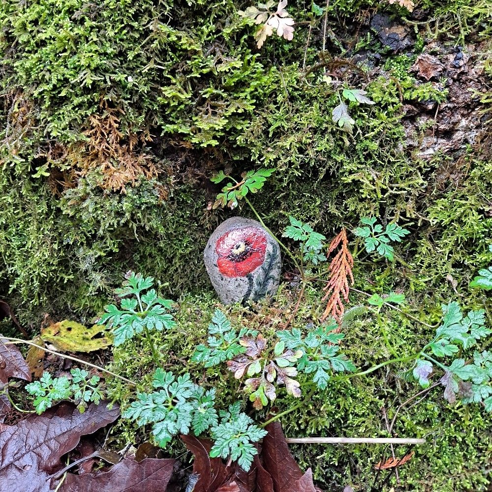 Nadine of the Woods