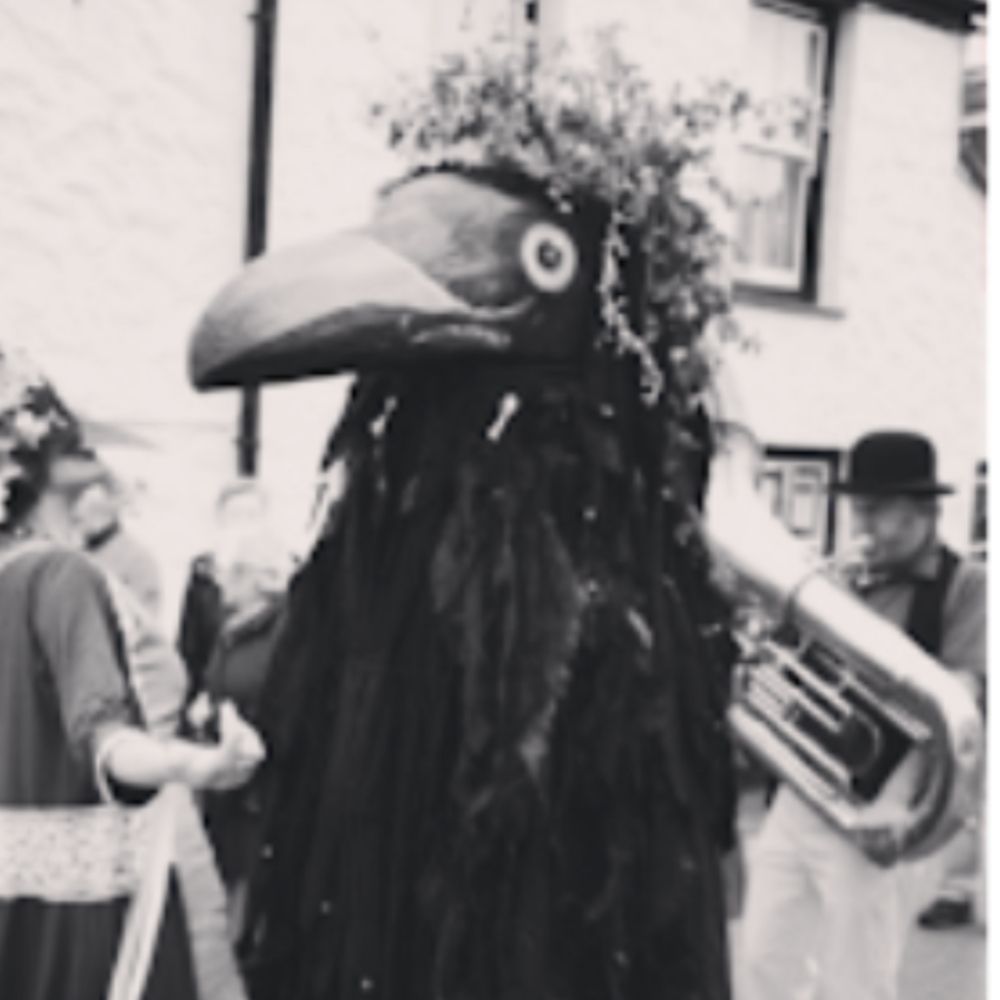 Karfy 🐦‍⬛