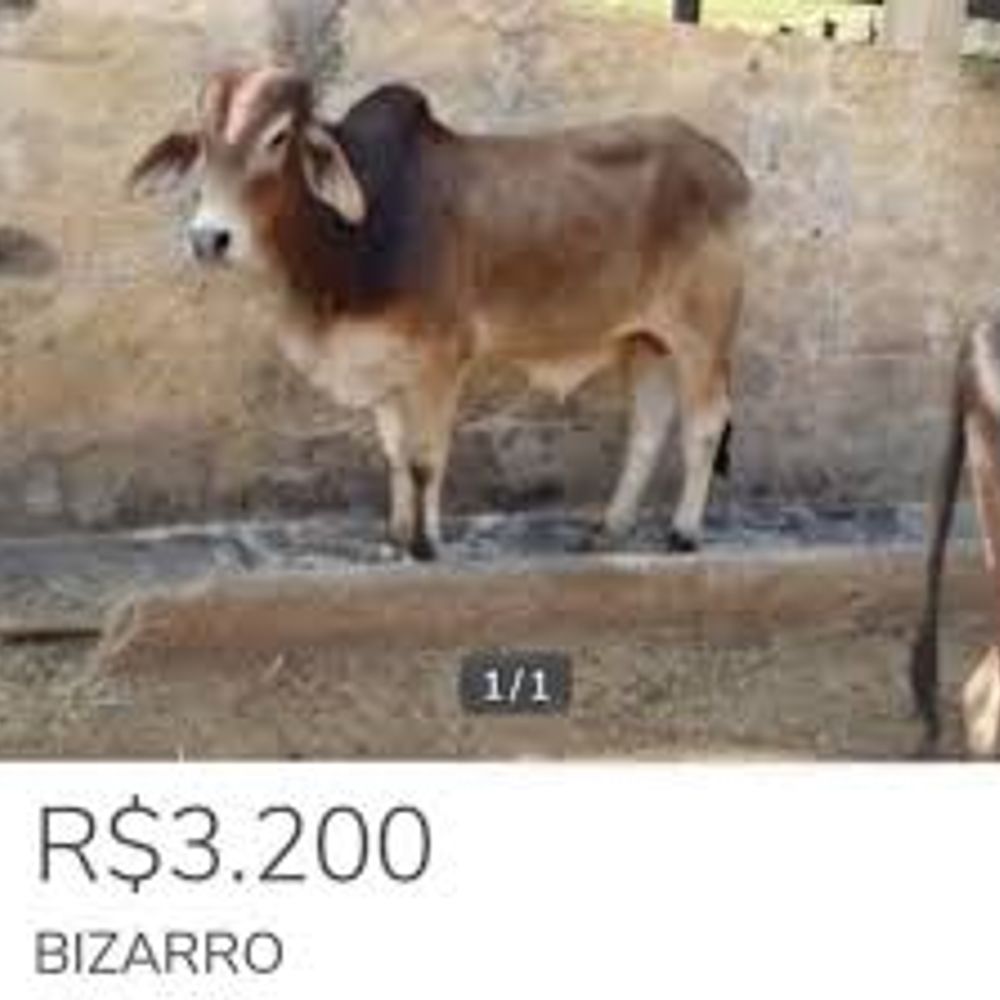 coias escritas eradas