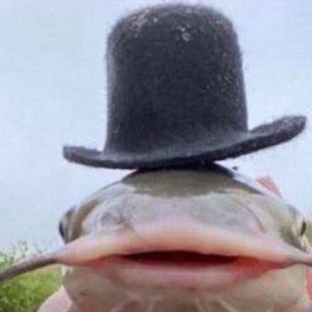 Aidan
