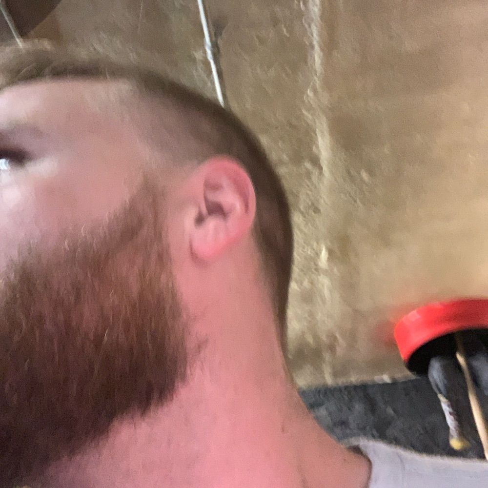 Winston Dump 🐷