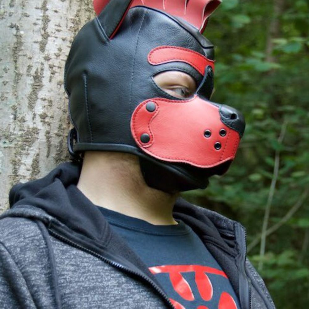 Super Pup