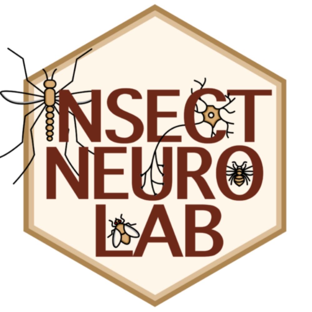 InsectNeuroLab