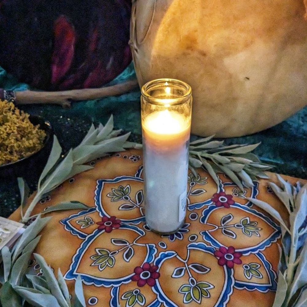 Web of Life Animists