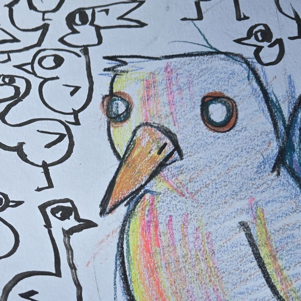 Bird