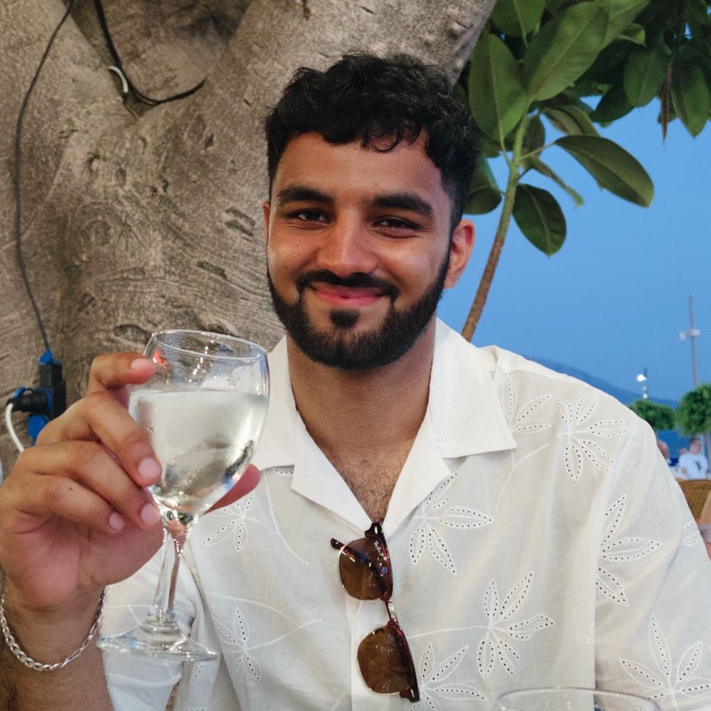 Hassan M. Raja