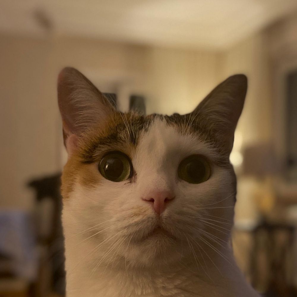 Önder