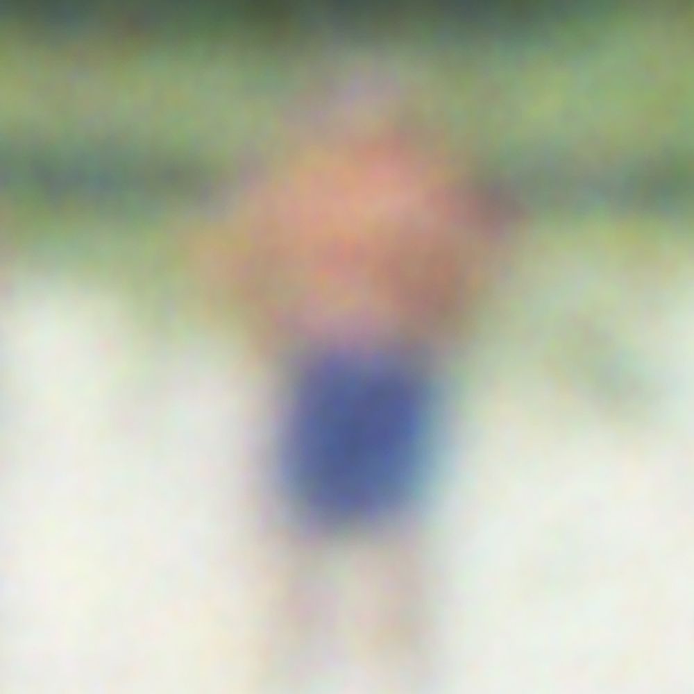 Mauro Altamura