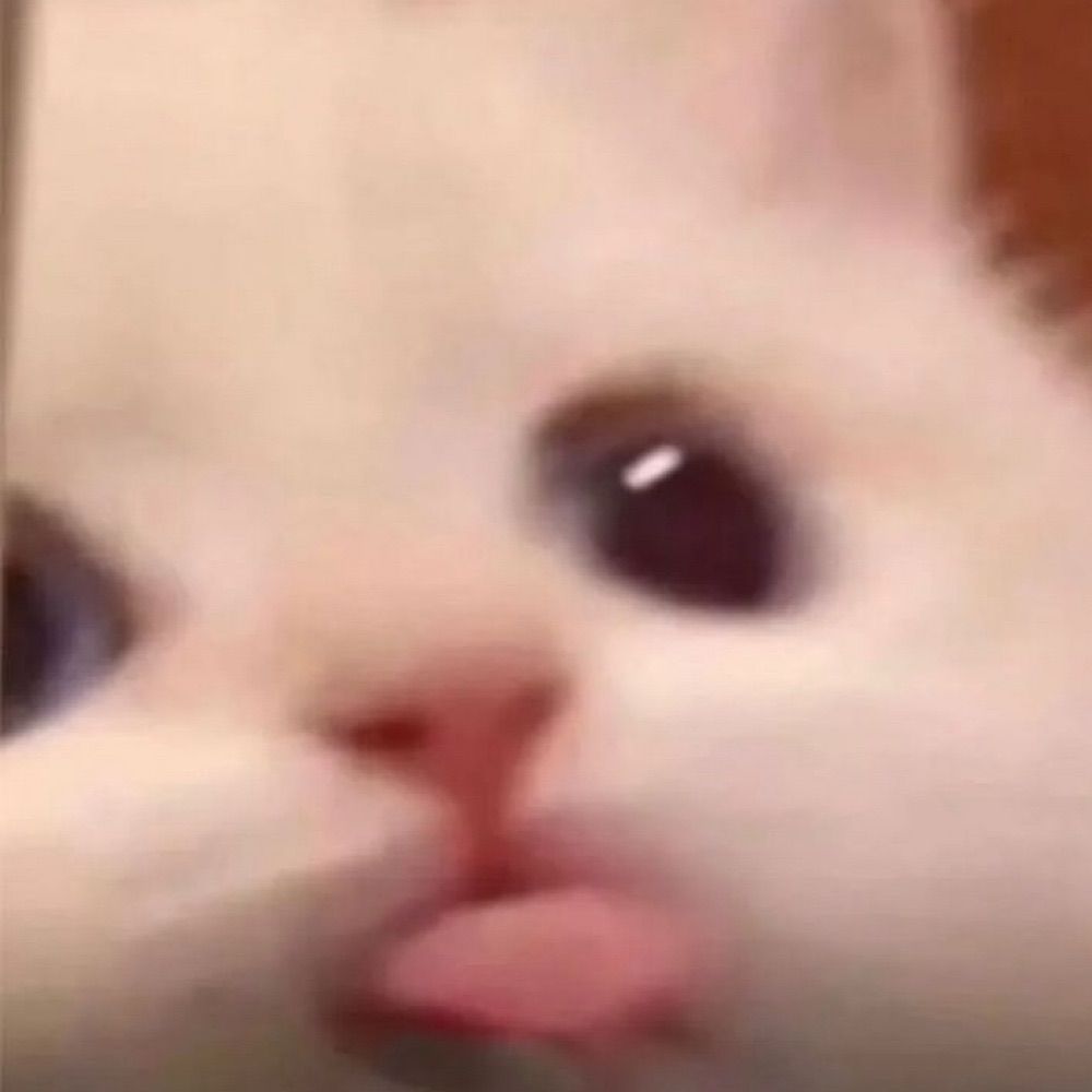 林天爱。🦭