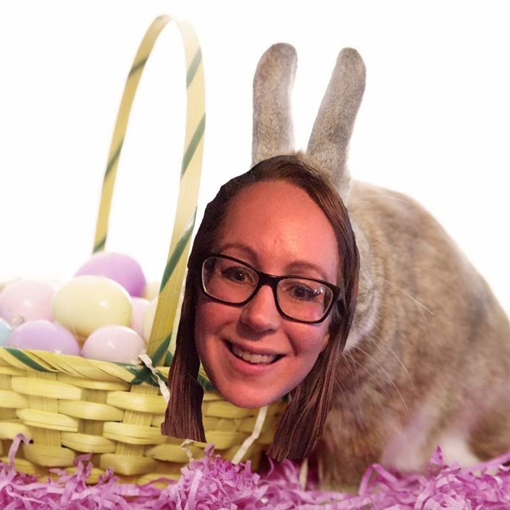 Tamára 🐰