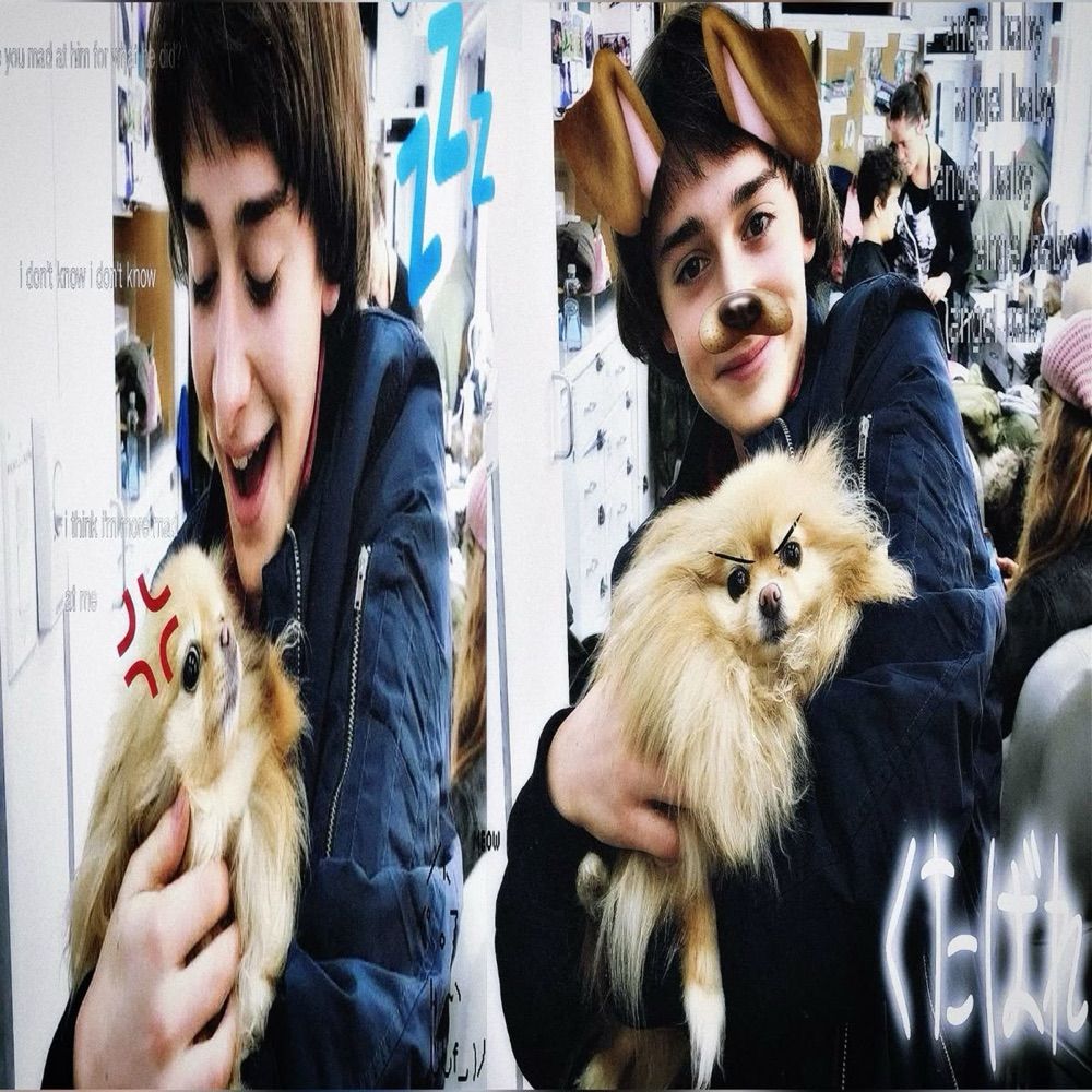 ☾𝕥𝕛𝕤𝕥𝕣𝕒𝕨𝕓𝕖𝕣𝕣𝕪★