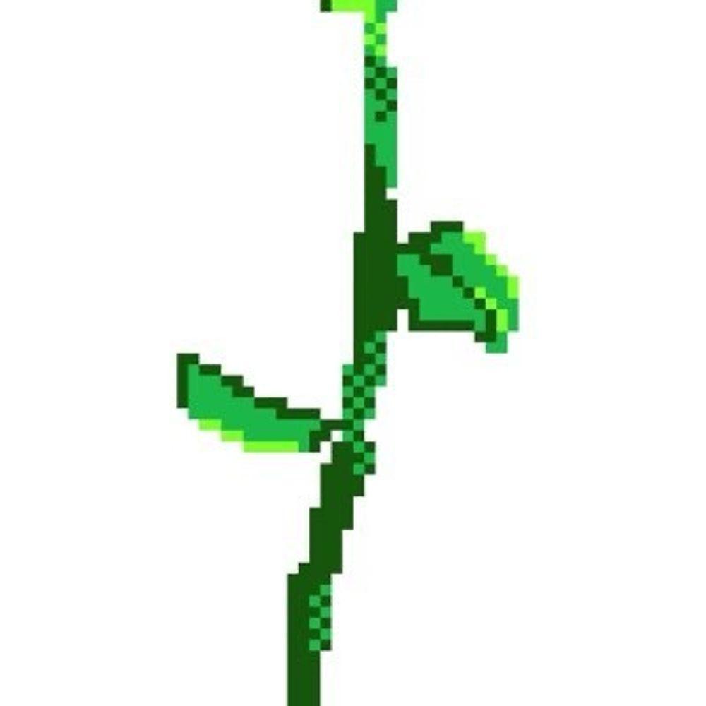 芝犬