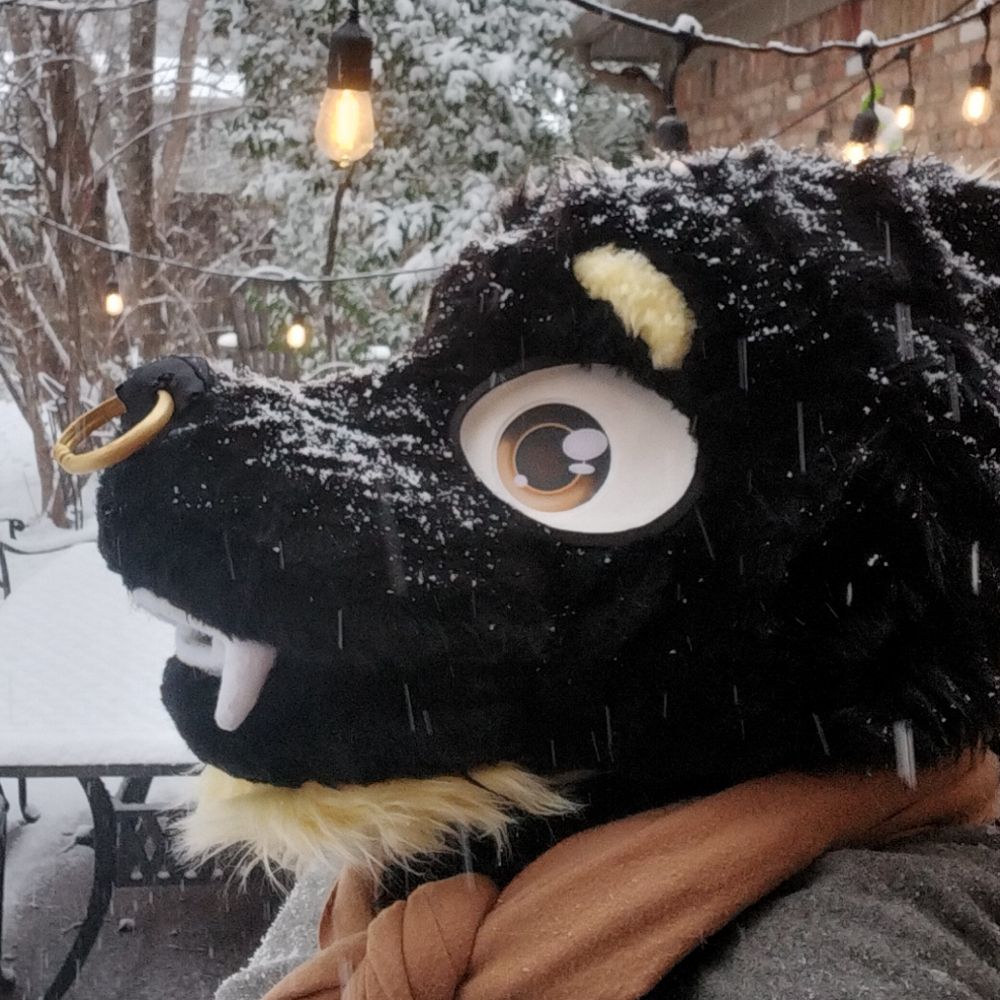 🦡🍯Morty The Badger 🍯🦡