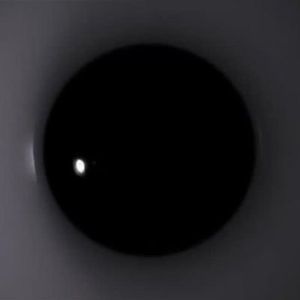 Phil_Nothing