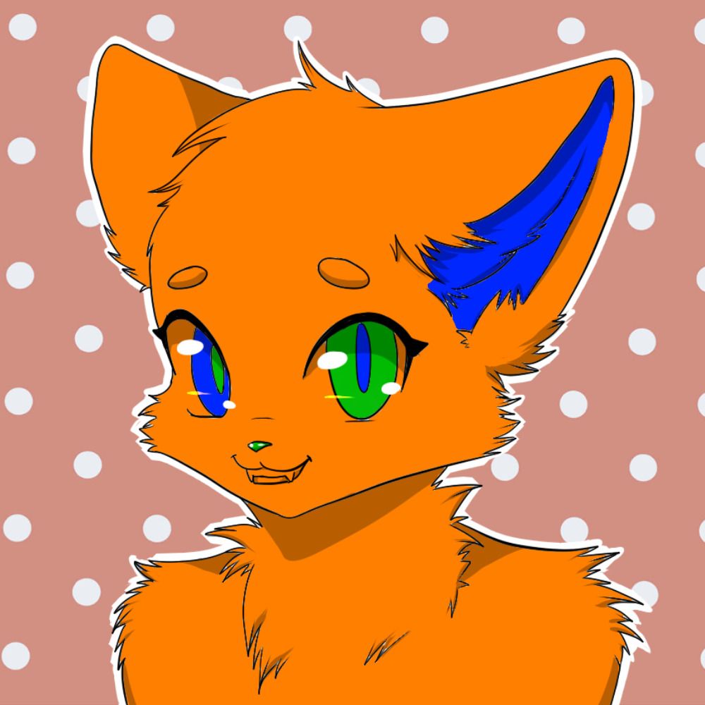 The Orange Floof