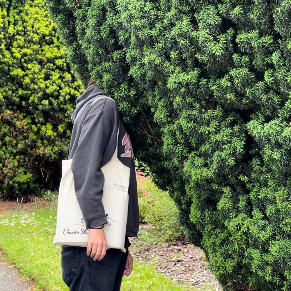 mrseldomseensmith.bsky.social