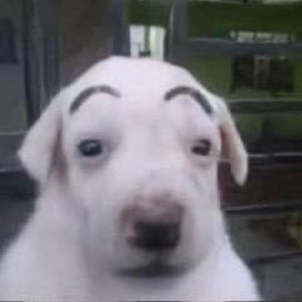 임종