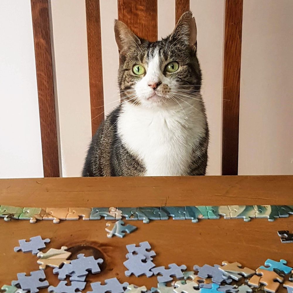 Zoë