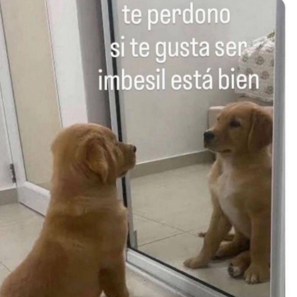Bethinha 