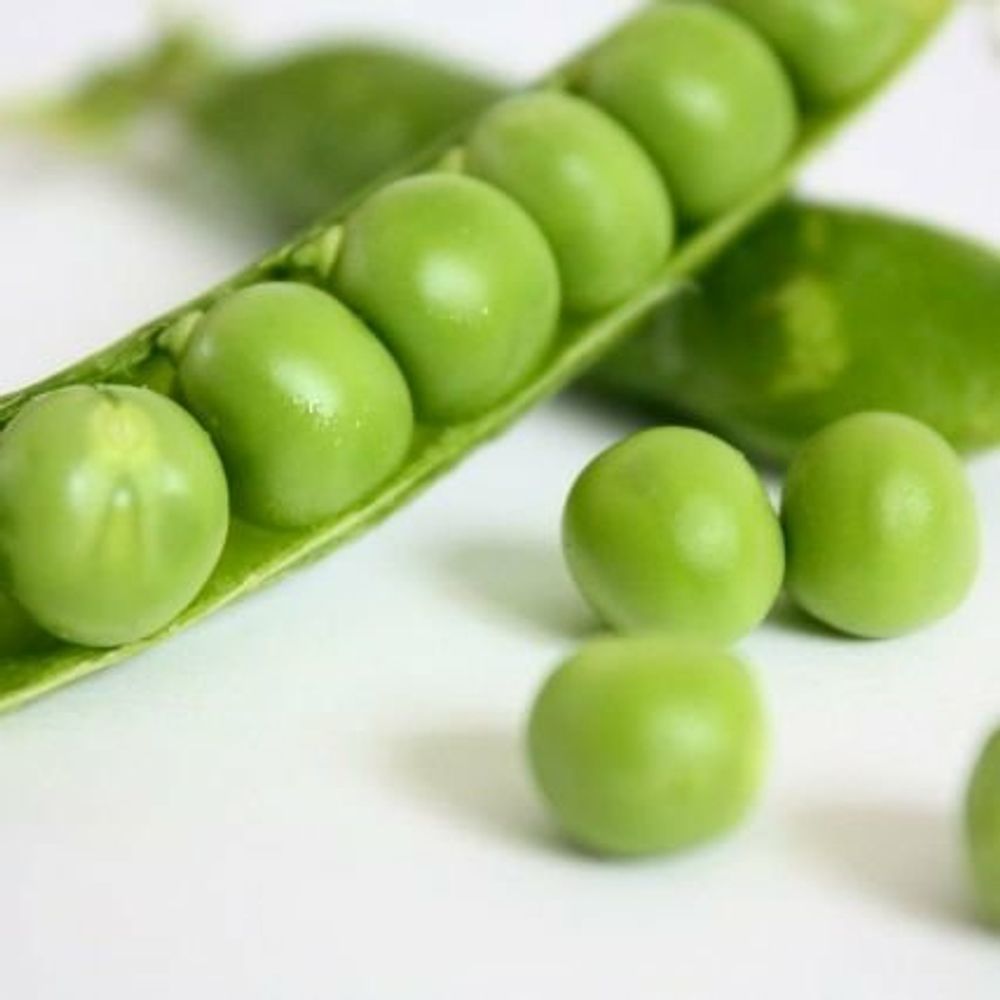 최콩삼