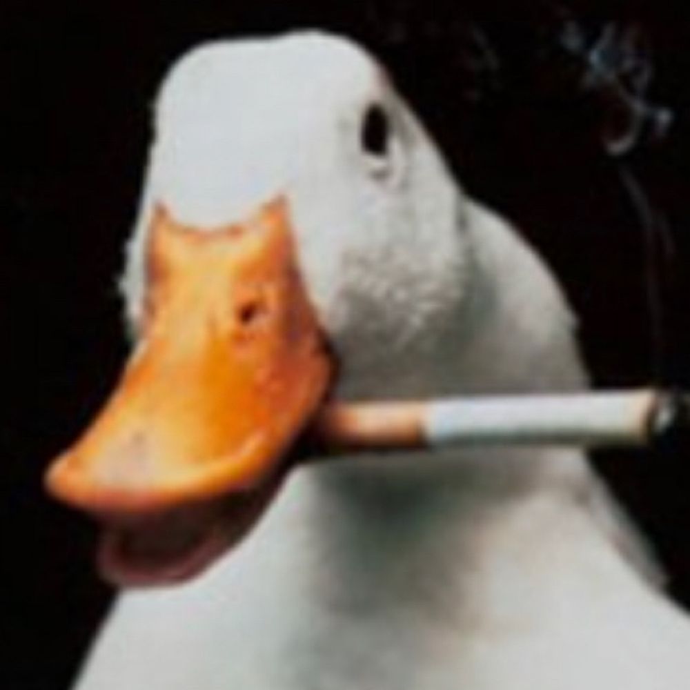Cig Duck
