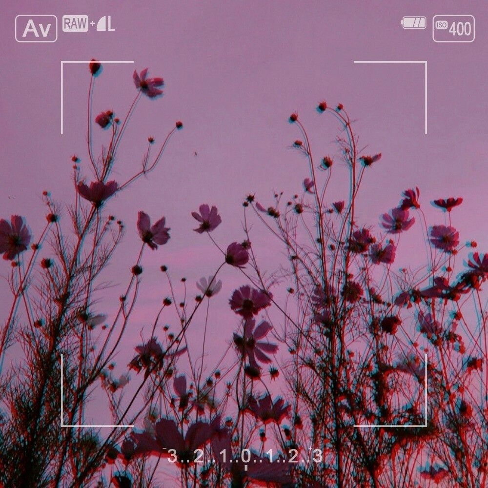 🌸🪼Æth🪼🌸