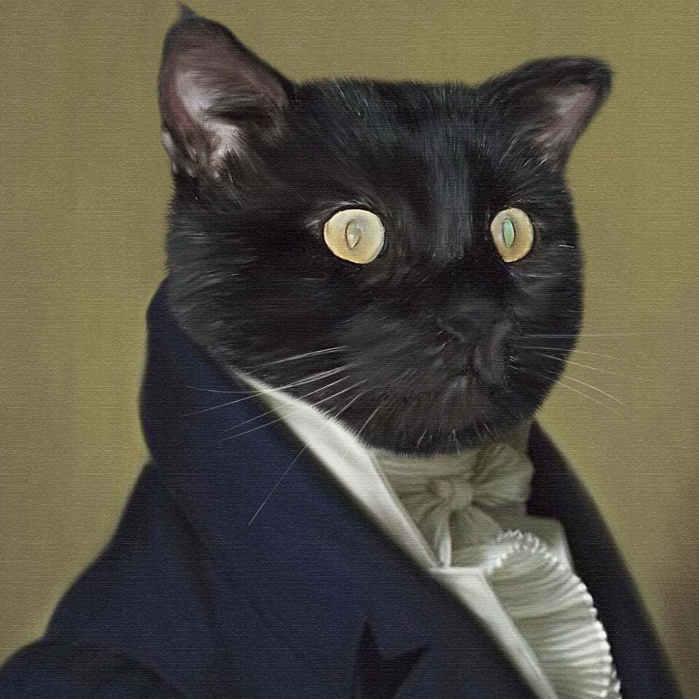 Dr. BigFaceCats