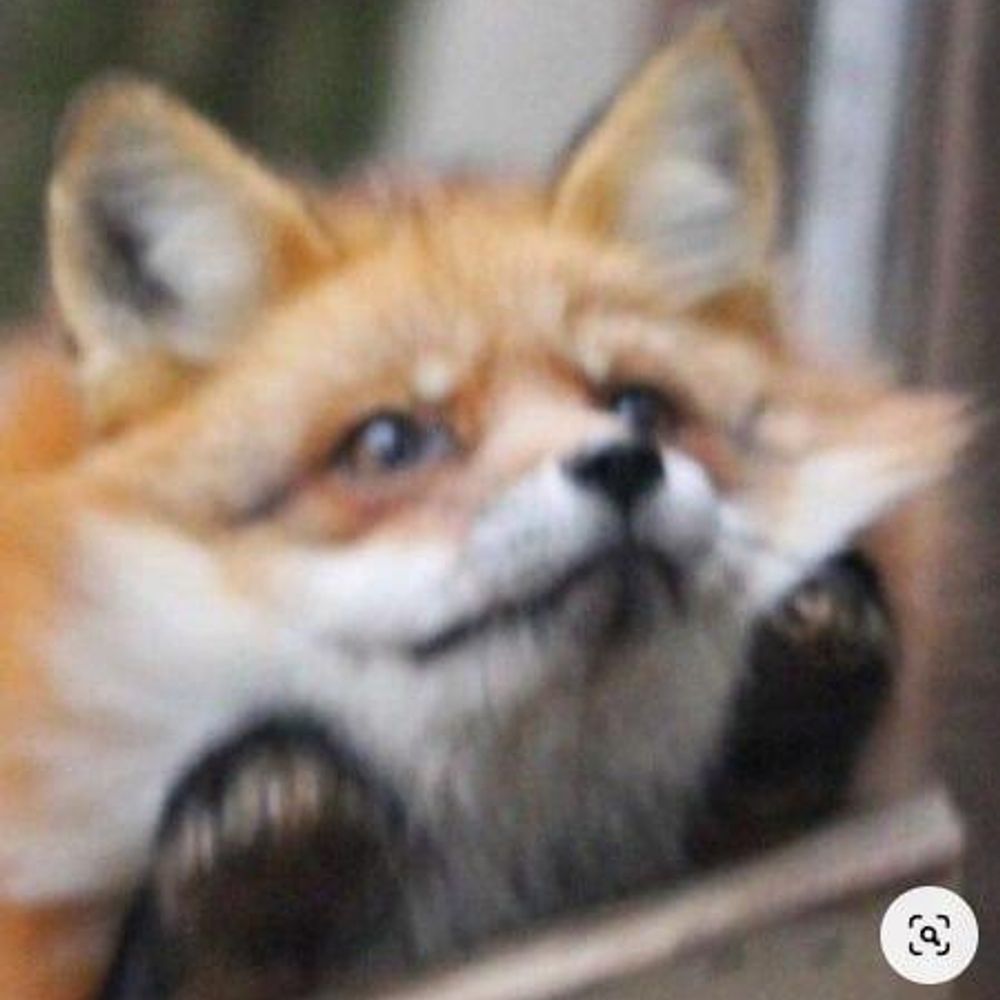 Húlí
